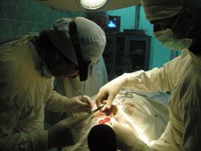 Хирурги из США трансплантировали лицо