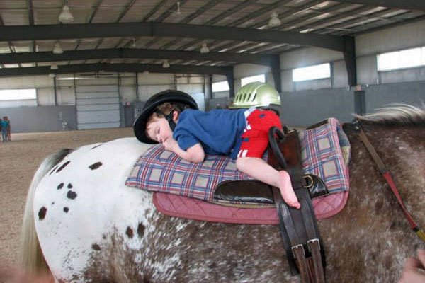 Запорожский пенсионер лечит детей с помощью лошадей