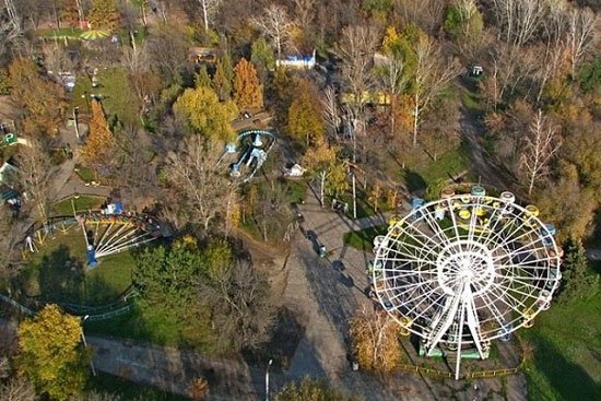 В центральном парке Запорожья проведут общегородскую зарядку-флешмоб