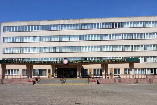 Запорожские студенты-медики прошли практику в белорусских клиниках